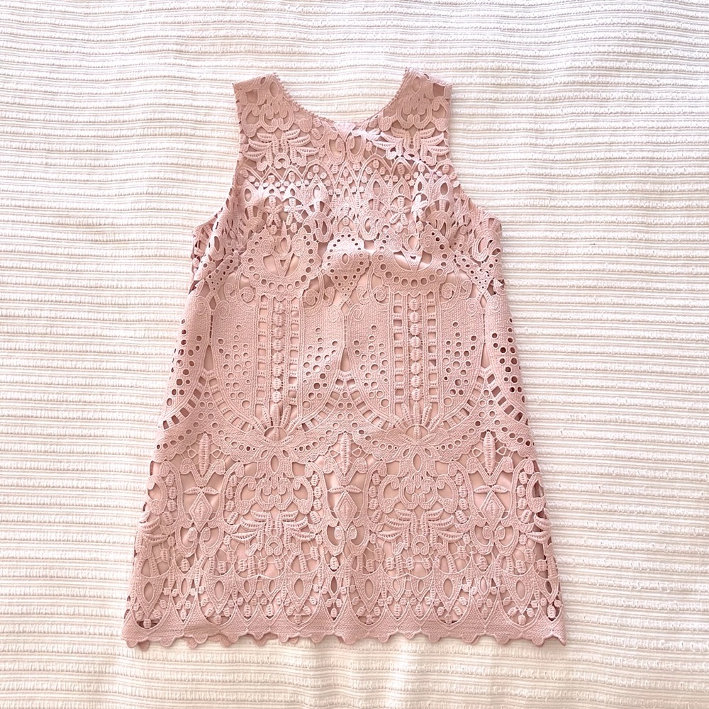 BCBGMAXAZRIA Lace Shift Dress in Blush